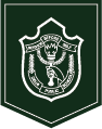 Delhi Public School Pataudi logo
